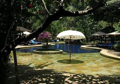 Rambutan Boutique Hotel 罗威那 外观 照片